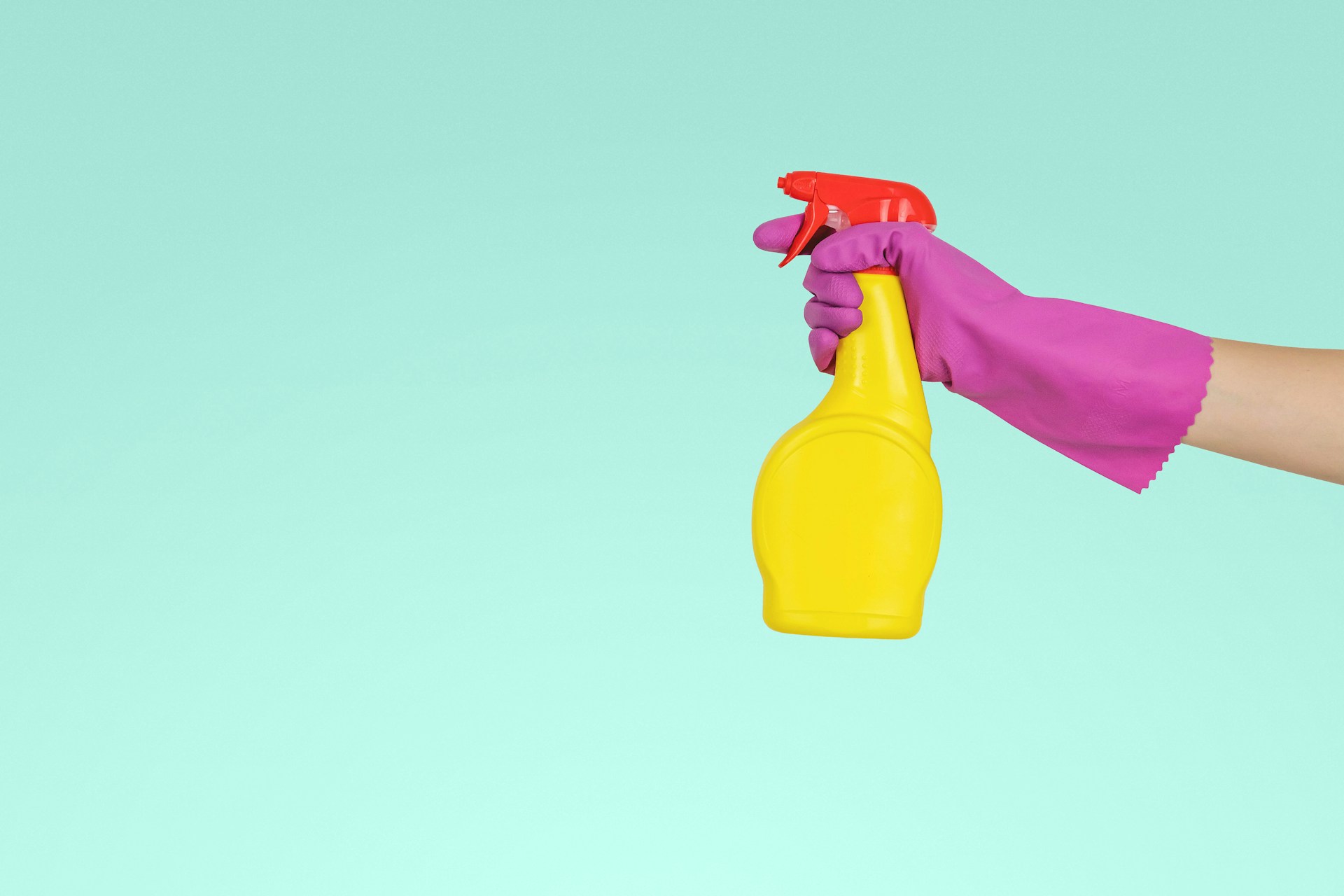 Santa Monica cleaning service